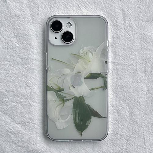 압:화 흰 백합