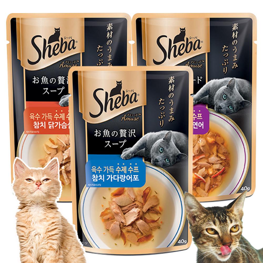 쉬바 수제파우치 육수가득 수제 수프 파우치 40g