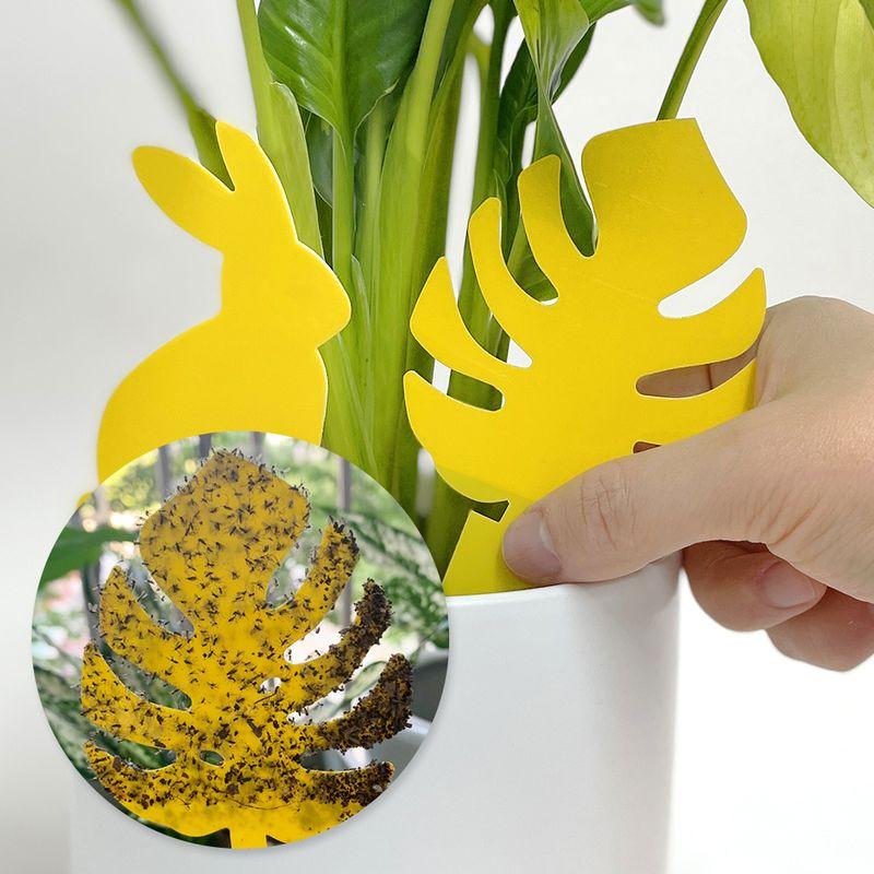 식물전파사 붙으시개 12매 뿌리파리 끈끈이 초파리 나방파리 퇴치 제거