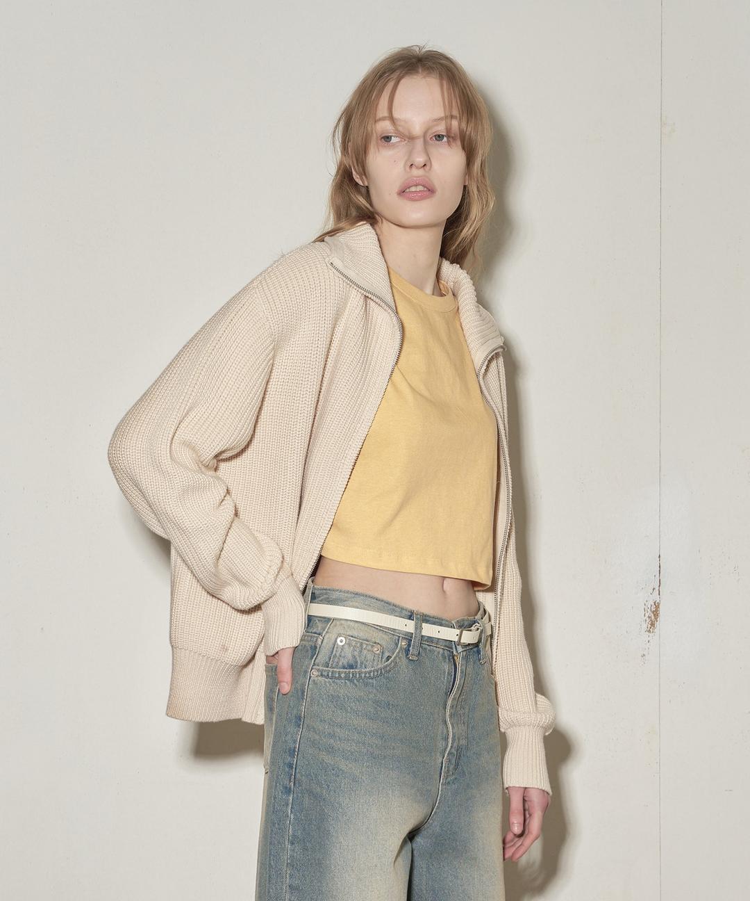 Basic Collar Knit Zip-Up (Beige)