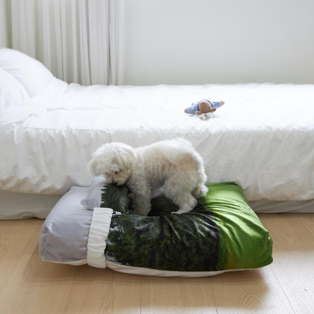 pzg Jeju orrum pet cushion
