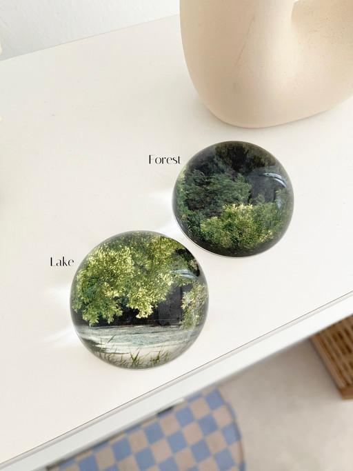Forest & Lake 문진