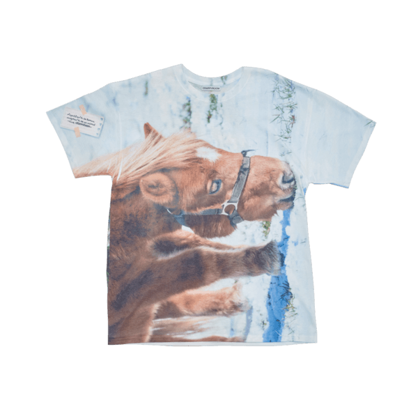 PEACEFUL IMAGE T-SHIRTS: BUDDY (made to order)