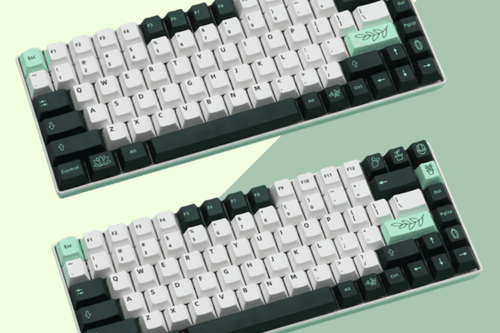GMK 뉴보타니컬 한글 키캡 PBT 체리 5면 염료승화 (2가지)