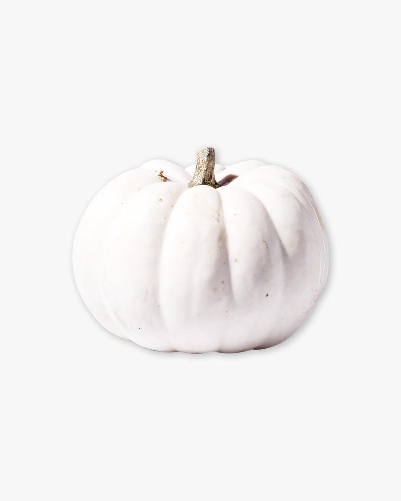 pumpkin griptok