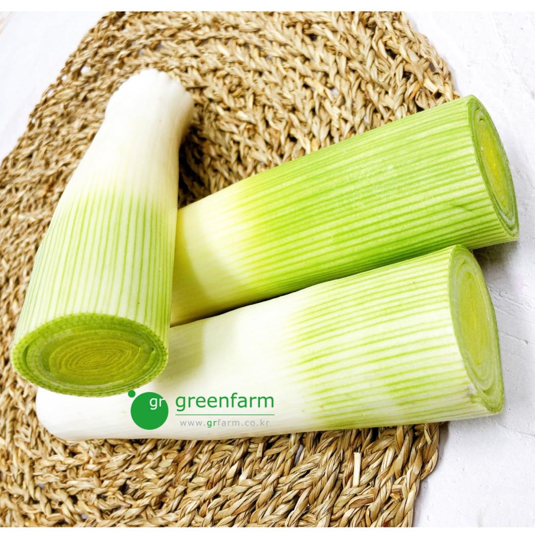 릭(서양대파)-약400g