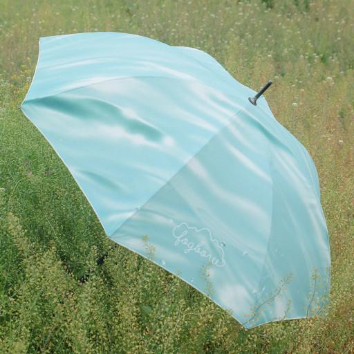 morning umbrella 장우산 우양산