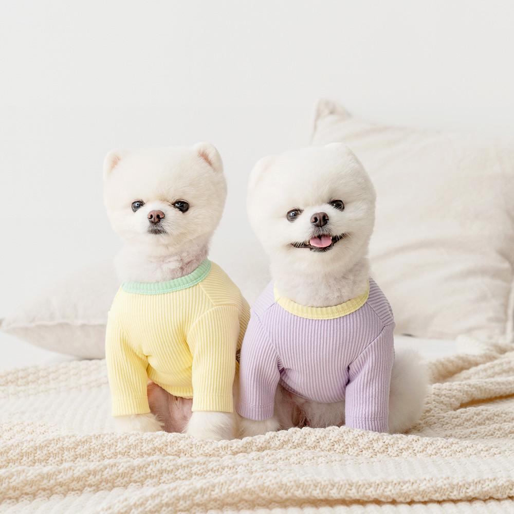 울리 1+1 기획 쥬시 티셔츠