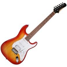 dexterGUITARS D 240 일렉 기타 + 구성품 11종