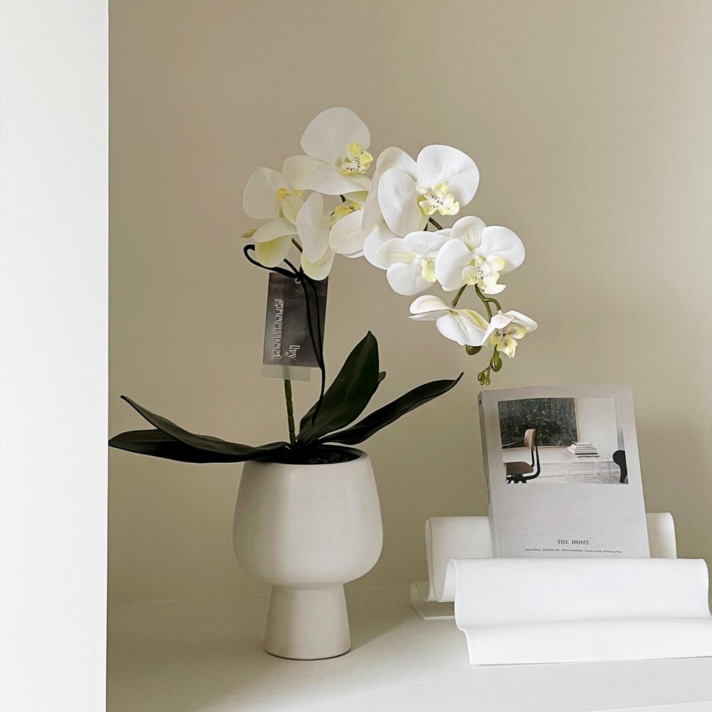 그리밋 리얼플랜트 호접난 생화같은조화 인조 미니 조화 나무 인테리어조화