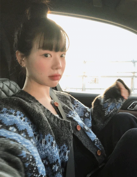 첼로딧 아이슬랜드 노르딕 니트 가디건