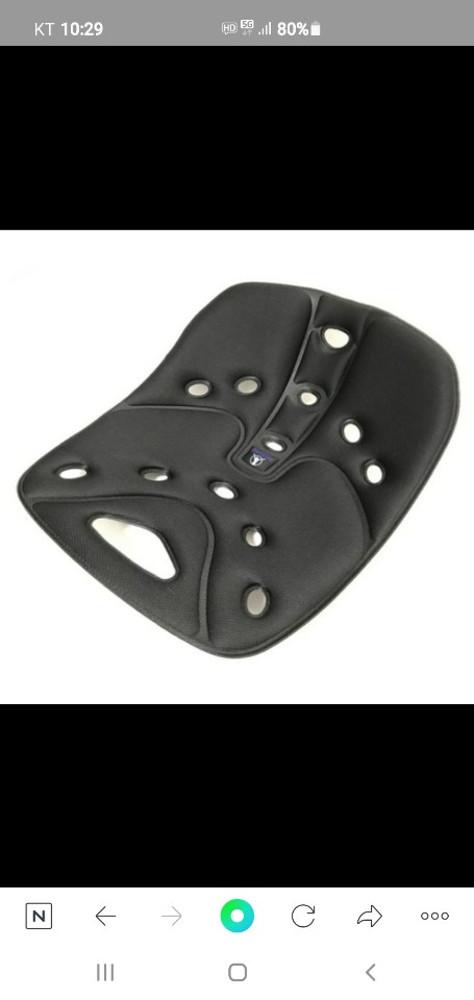 코스트코 백조이 릴리프 스탠다드 허리지지대