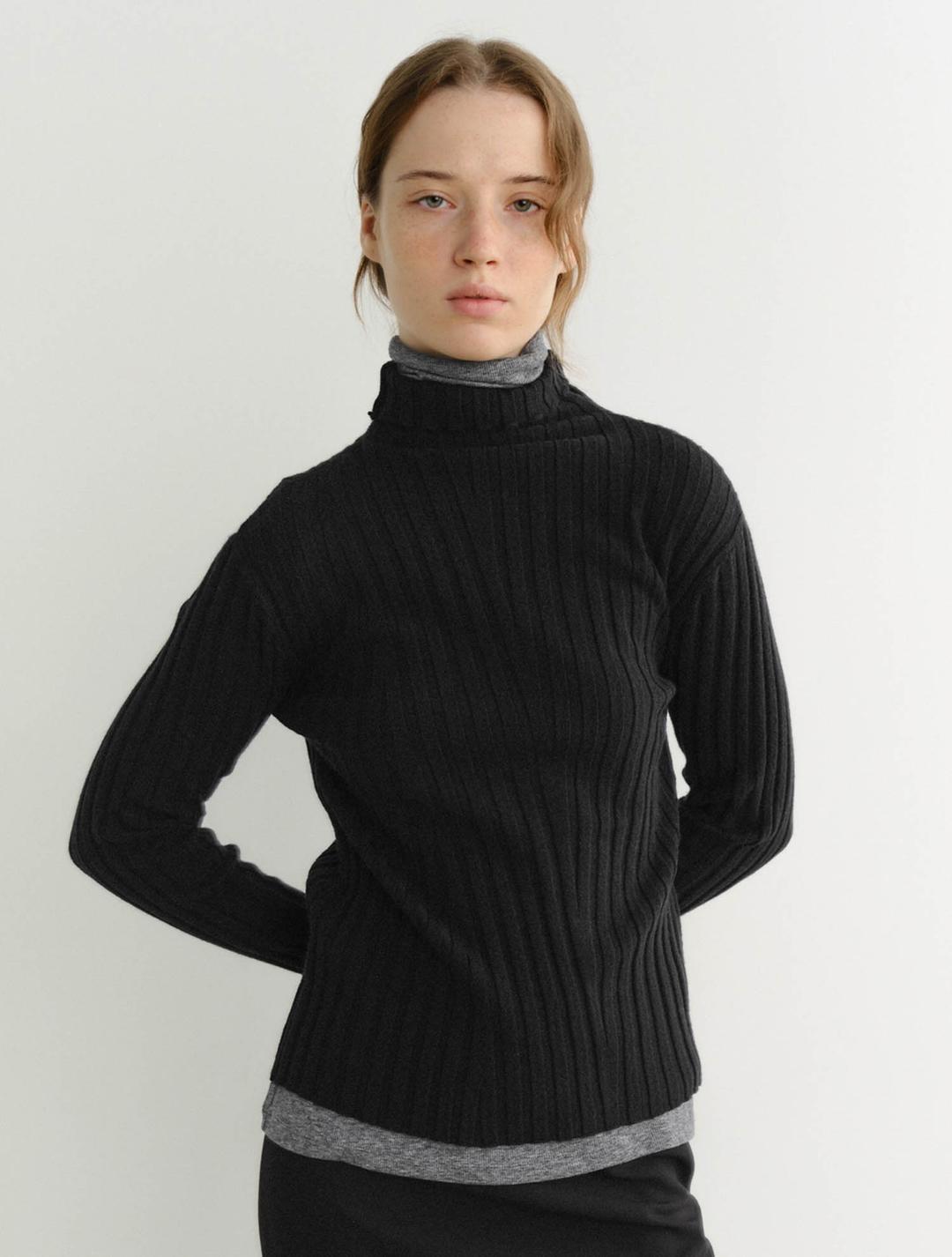 Rinn Turtleneck Knit Top (Black)
