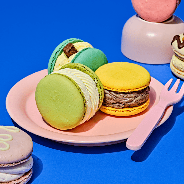 널담 마카롱 사랑+감동 set (16개)