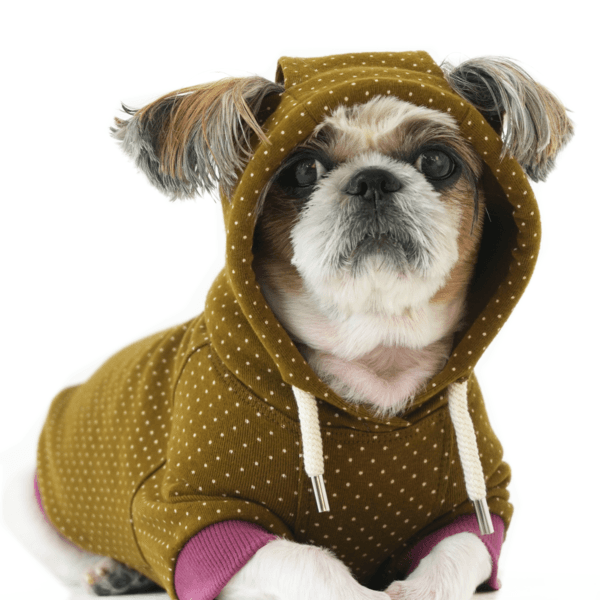 people say... hoodie [olive]