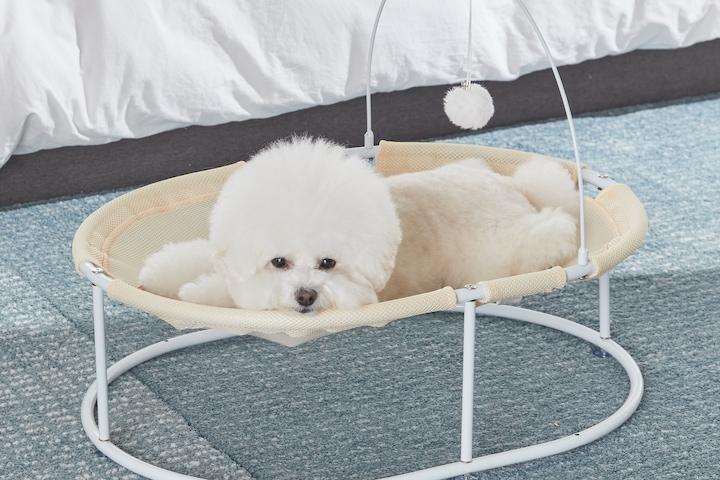 눕자마자 쿨쿨~ 세이펫 반려동물 매쉬 해먹 침대