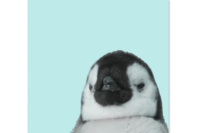 핑구 아트웍/ 여아 남아 아이방 포인트 액자