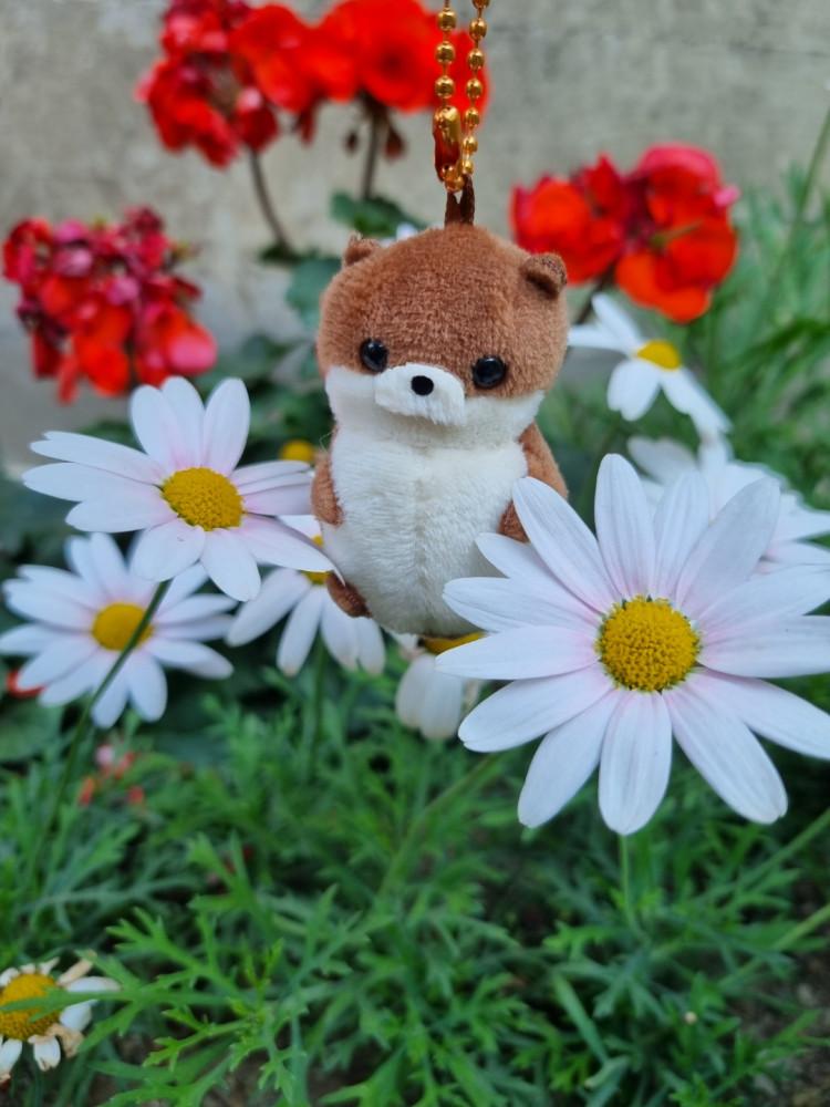 어뮤즈 수달 콩 키링 인형 마스코트 쁘띠마루 동물 키링 선물