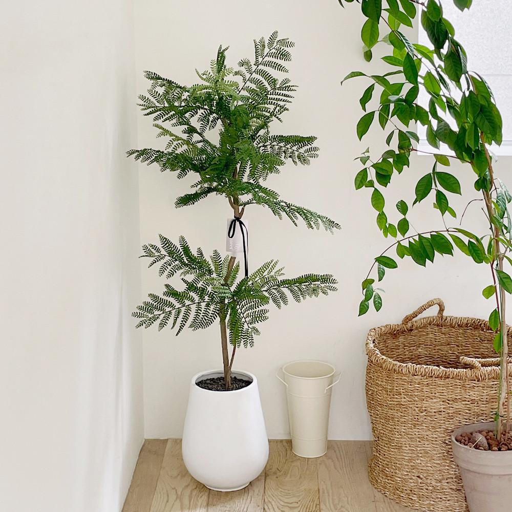 그리밋 리얼플랜트 자카란다나무 생화같은조화 인조 조화 인테리어조화