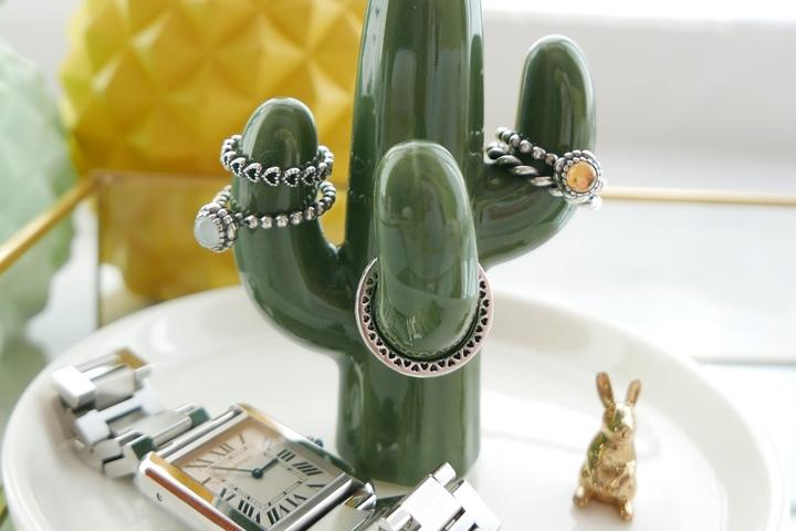 반지걸이 악세사리 트레이 선인장