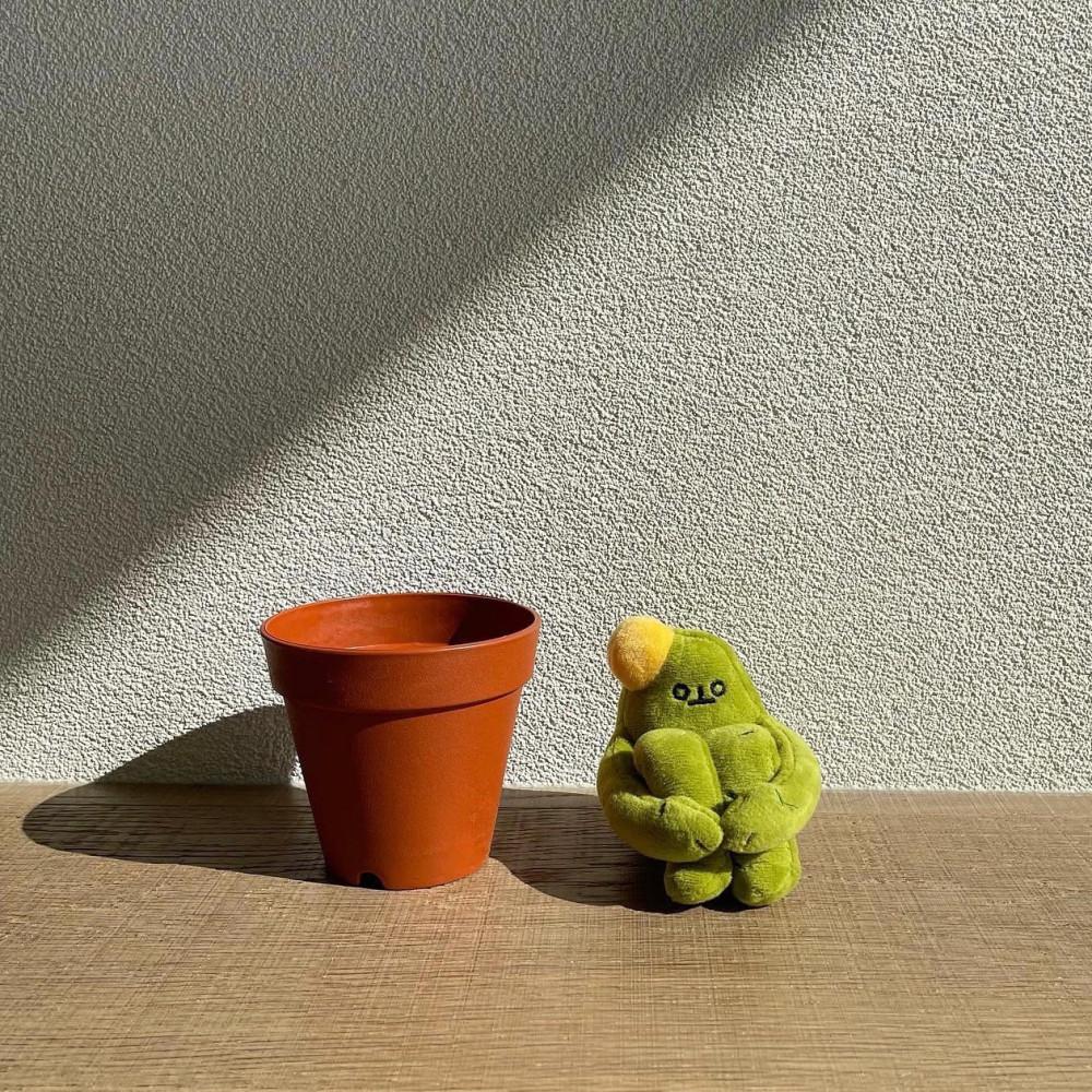 웅크린선인장 미니 인형 (화분 포함)