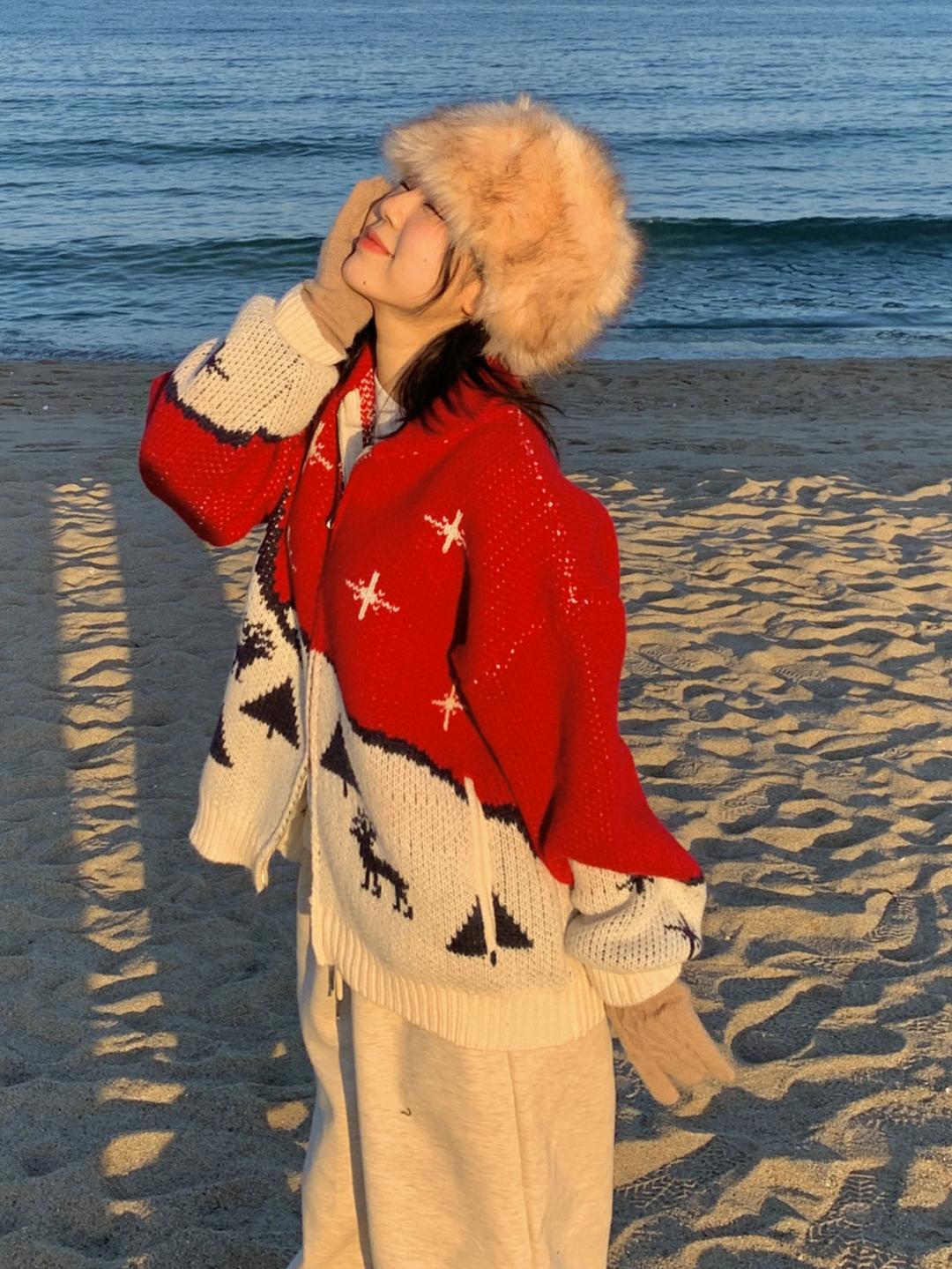 마운틴 노르딕 도톰 니트 집업 (2 color)