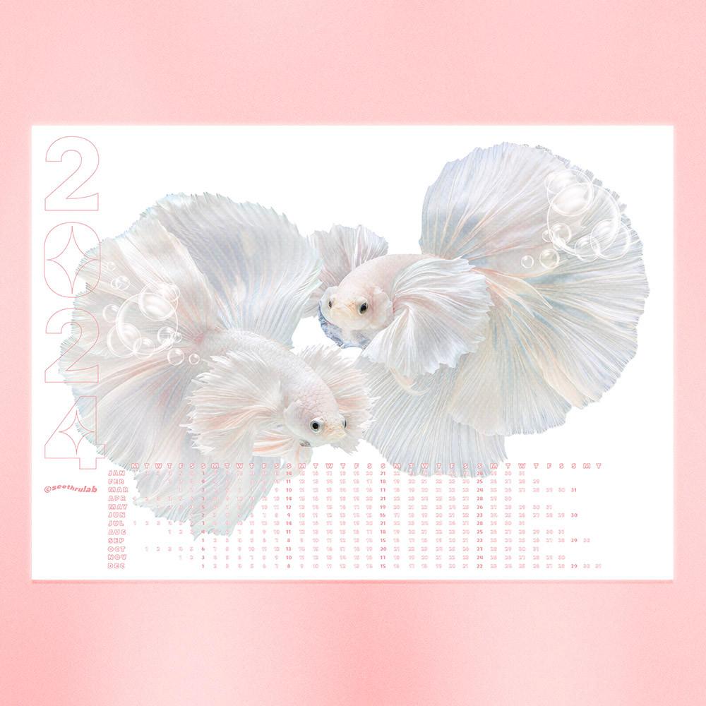 [씨스루랩] 2024 베타 달력 포스터 3종