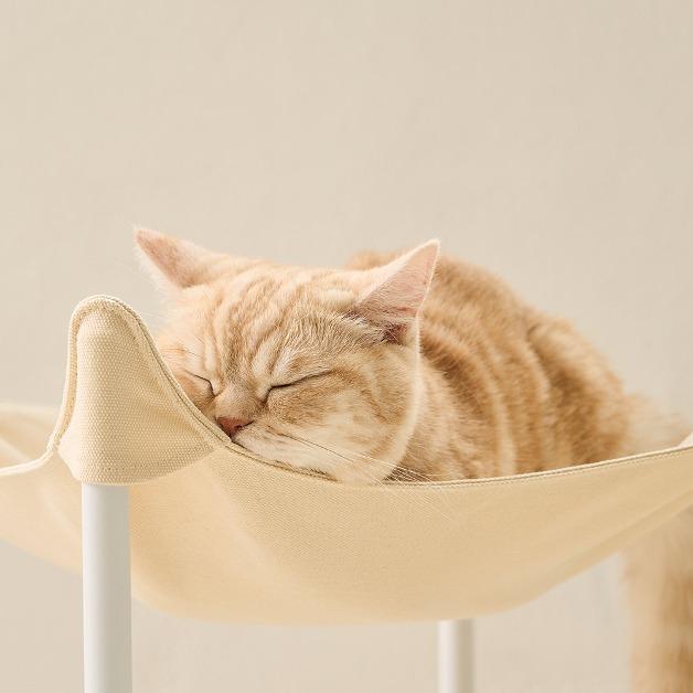 두잇 트램펄린 해먹