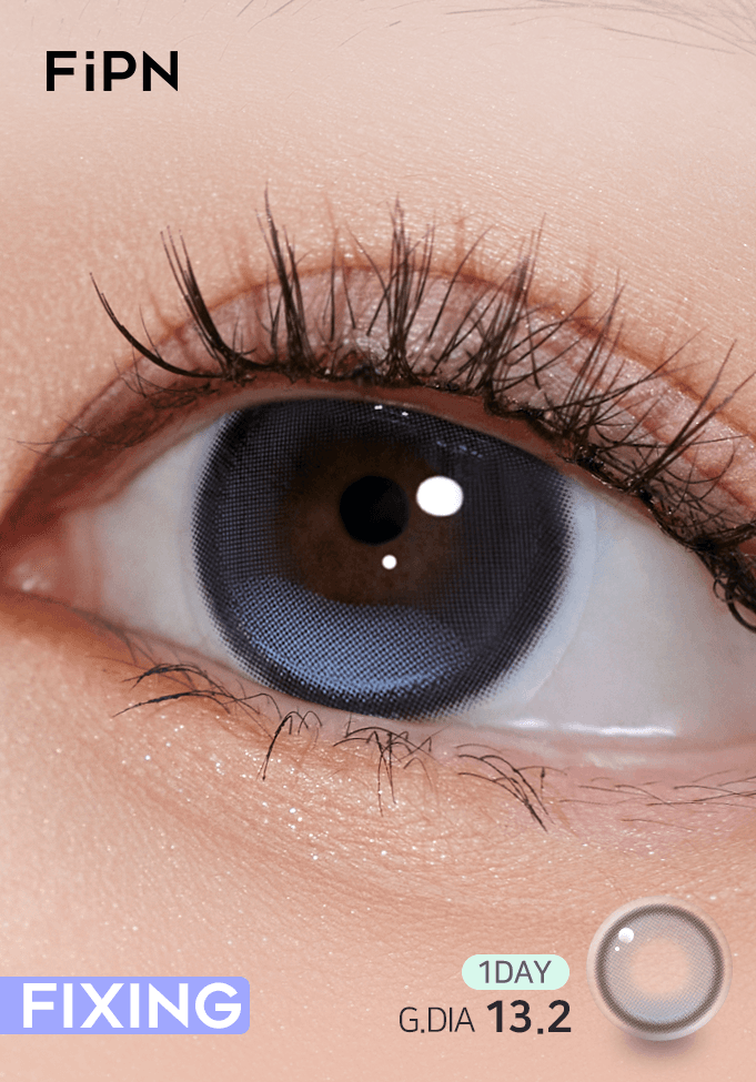 픽싱 • 포레아 - 애쉬 13.2 [원데이/10PCS]