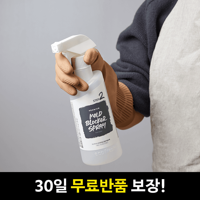 벽지 곰팡이 종멸템! 프리미엄 곰팡이항균제 1+1
