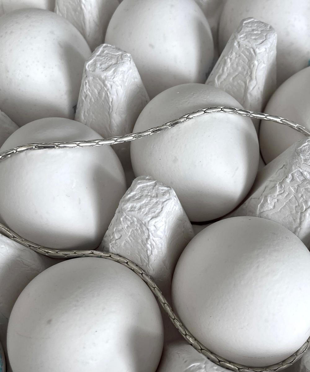 EVERYDAY SILVER NECKLACE