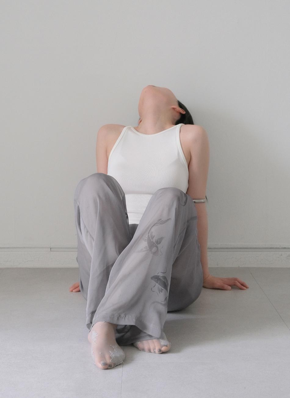 Gray see through pants (12th restock)