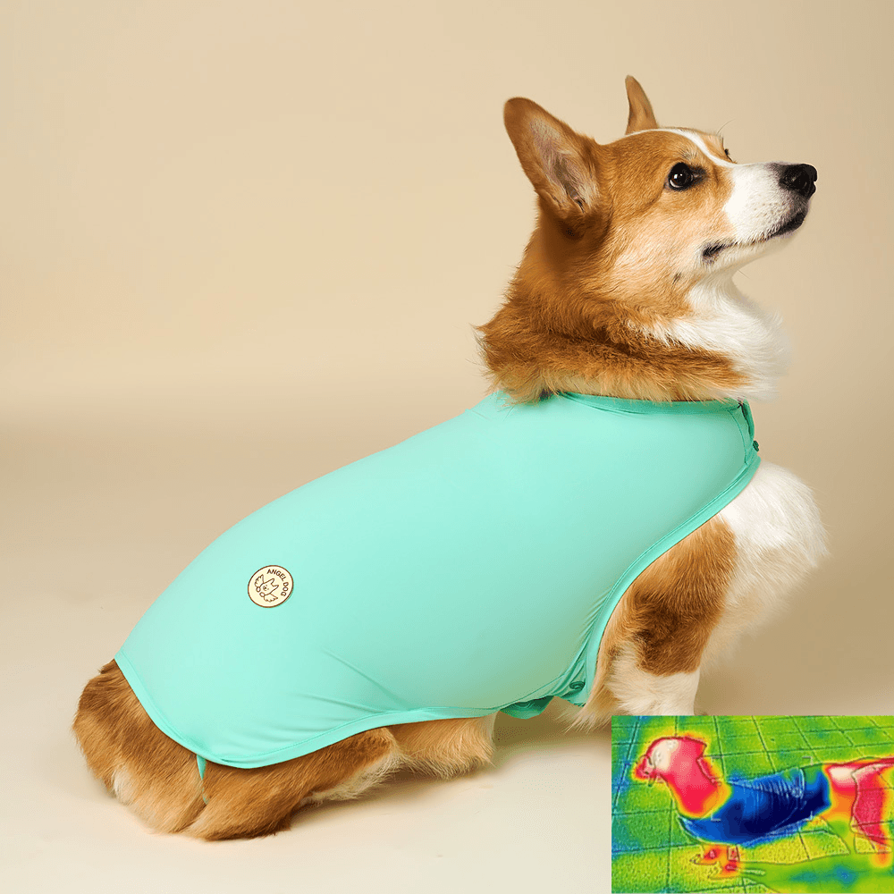 엔젤도그 강아지 쿨조끼 개어리즘 쿨링 조끼 M