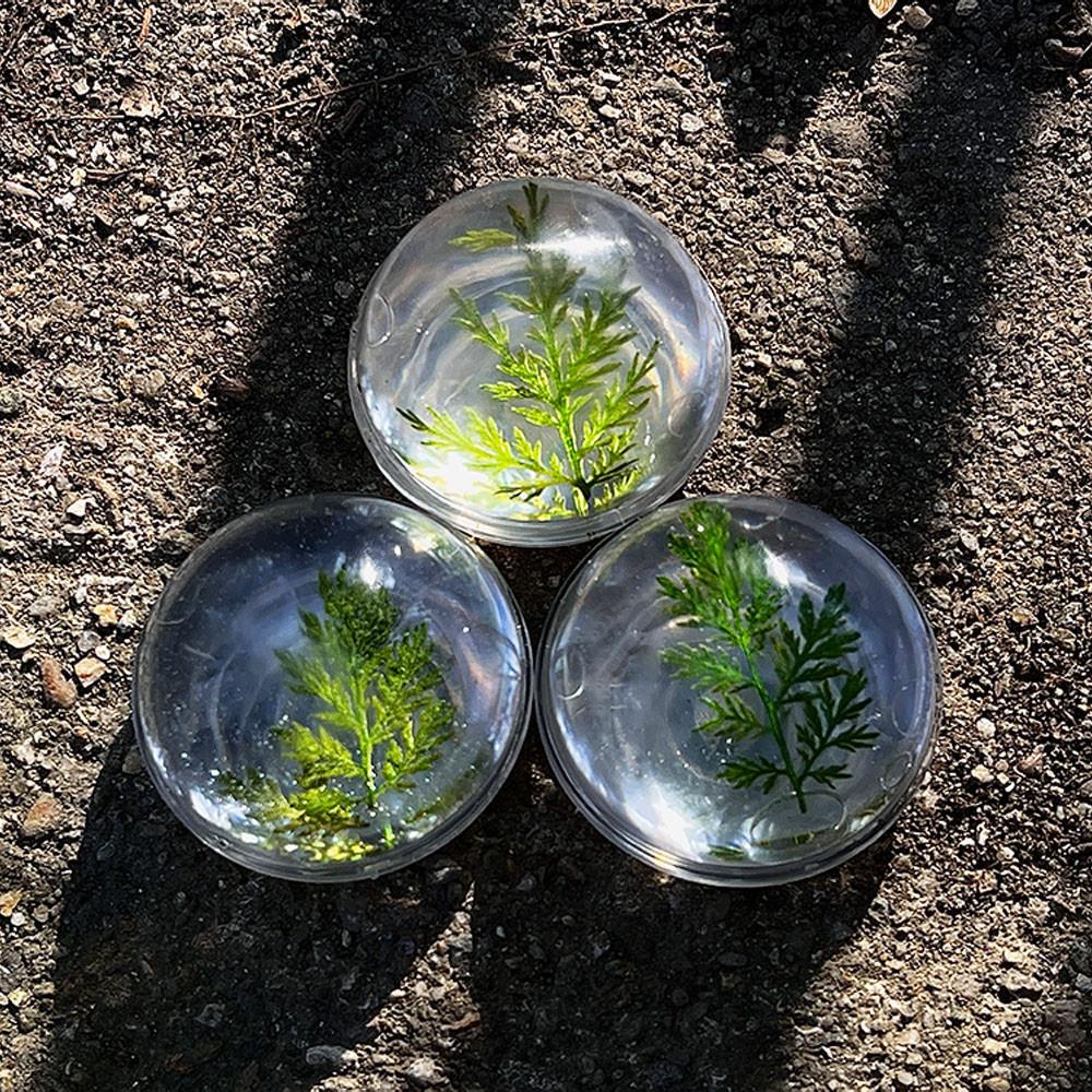 forest griptok 포레스트 레진 그립톡