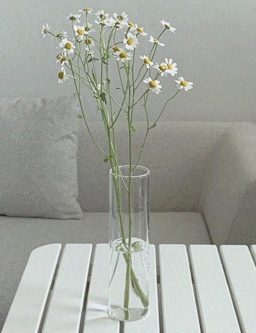 Slim Glass Vase