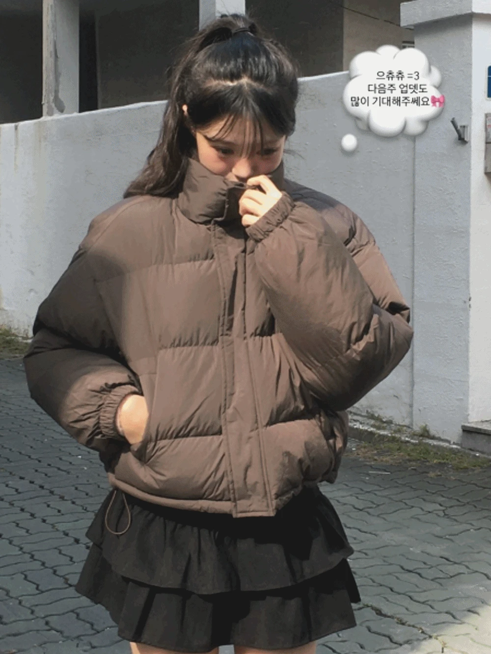 [🪽색감예쁨/웰론패딩] 푸퍼 패딩 jumper