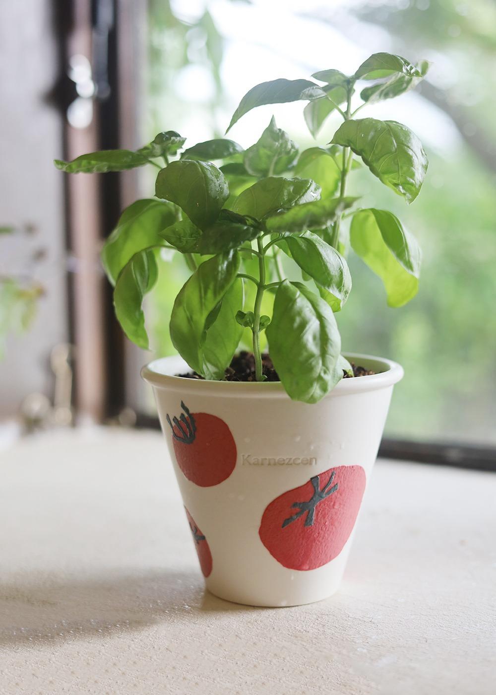 [3 size] 쥬이시 써머 _ 토마토