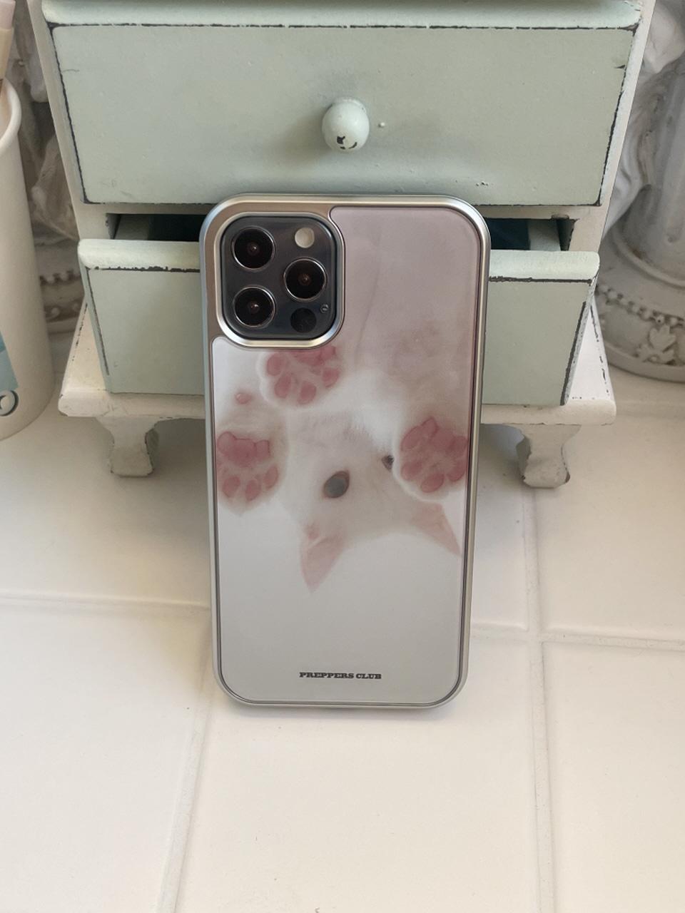 SHY CAT CASE *SILVER GLASS TYPE