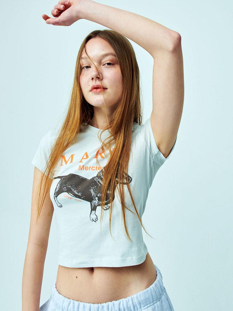 CROPPED TSHIRT DDANJI_LIGHTBEIGE