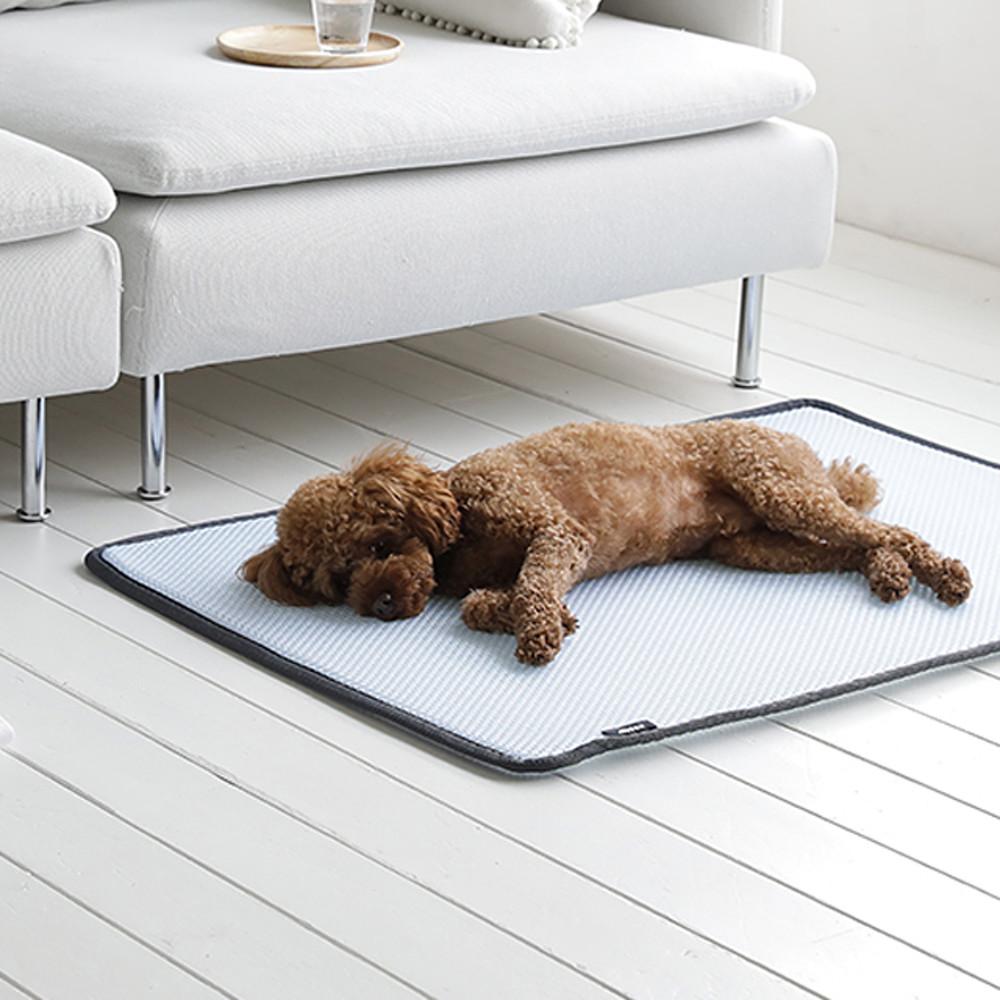 에어텍스 개시원 강아지 쿨매트 고양이 애견 매트 여름 쿨방석 M(5070)
