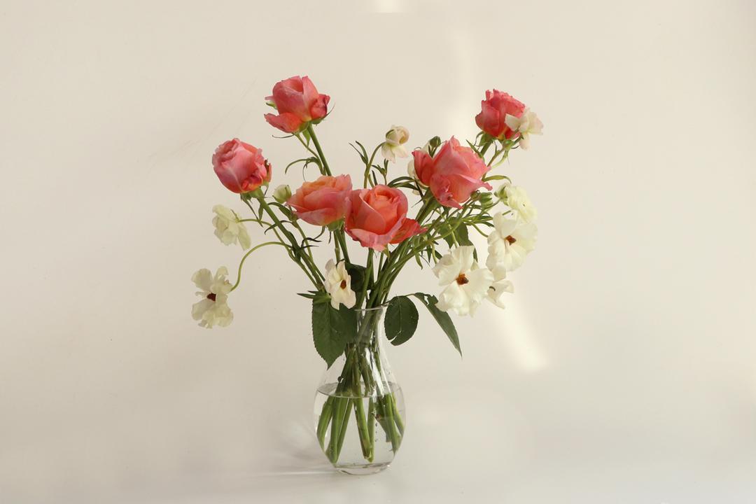 빅토리안 시크릿 장미