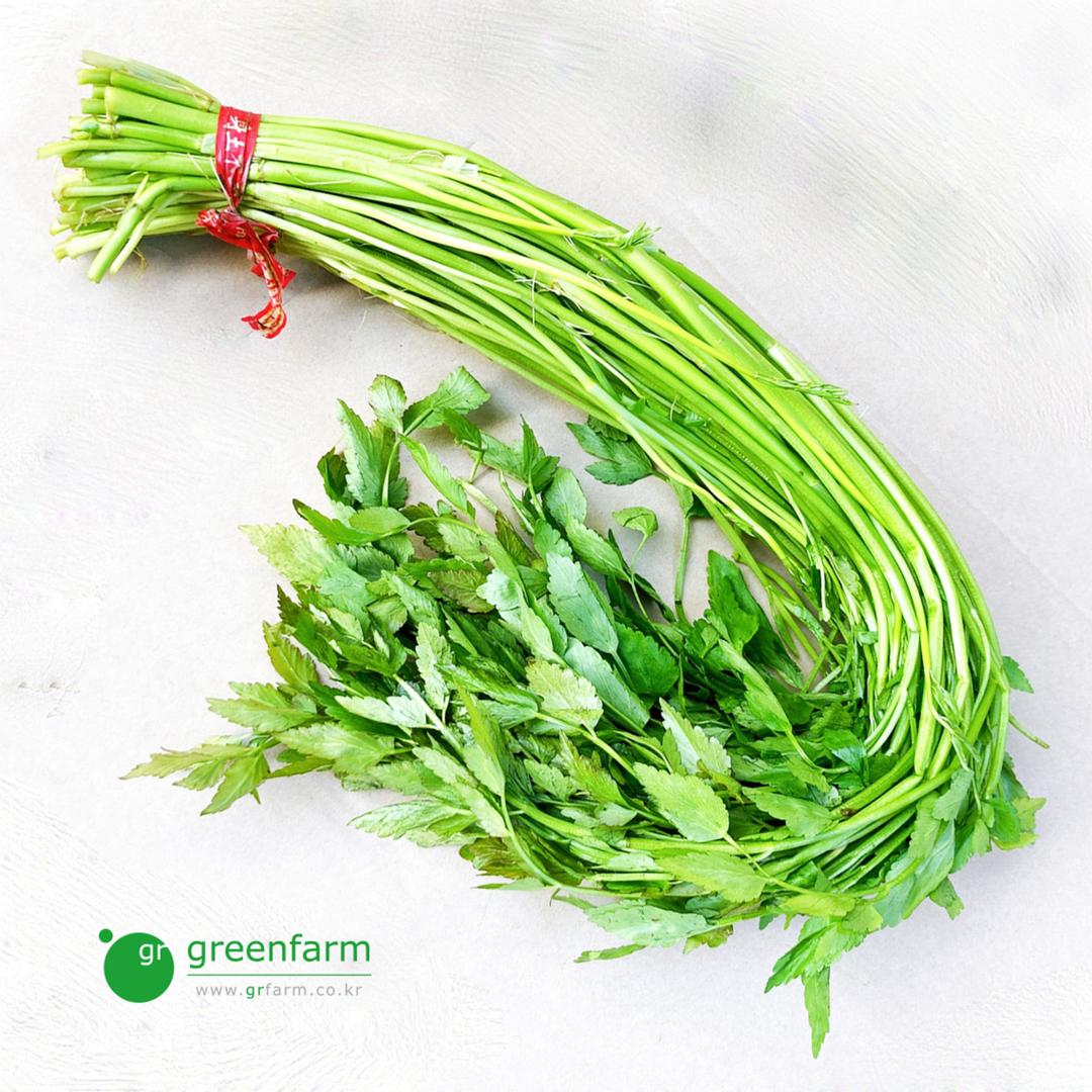 미나리 약400g