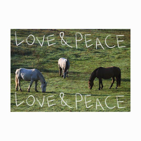 트윙클스터프, Love and peace 패브릭 포스터 가림막천