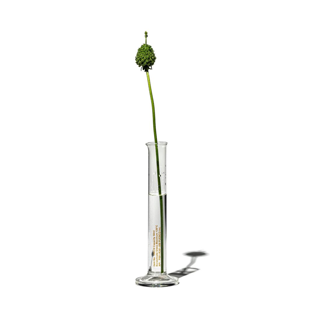 SINGLE FLOWER VASE / 50ml