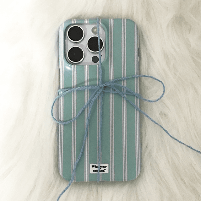 pajama hard case [mint]