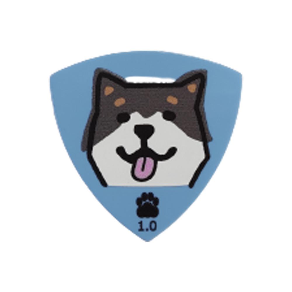 시바견 캐릭터 기타 피크 부산현음악기