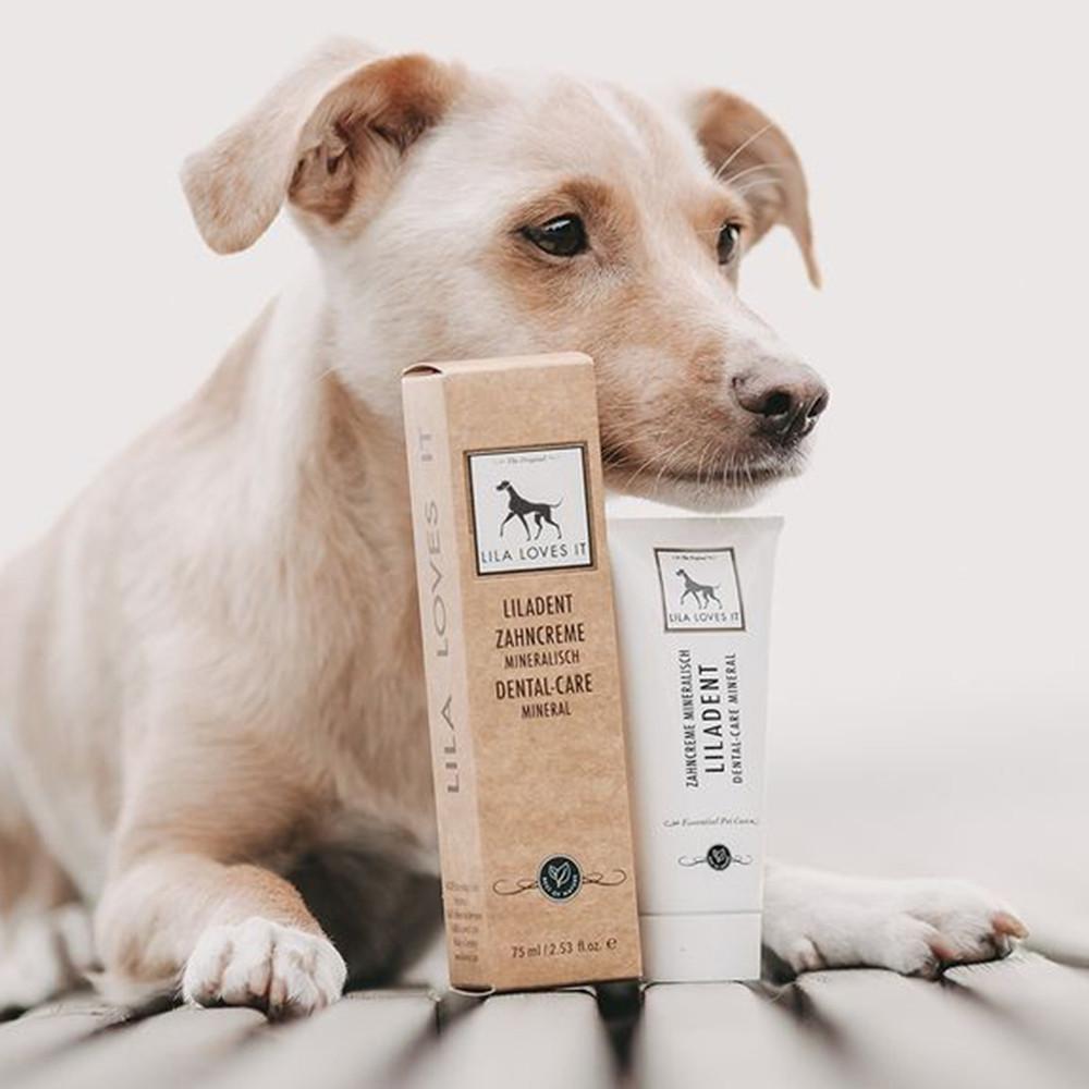 New 릴라덴트 덴탈케어 미네랄 (치약) 강아지천연치약 고양이치약