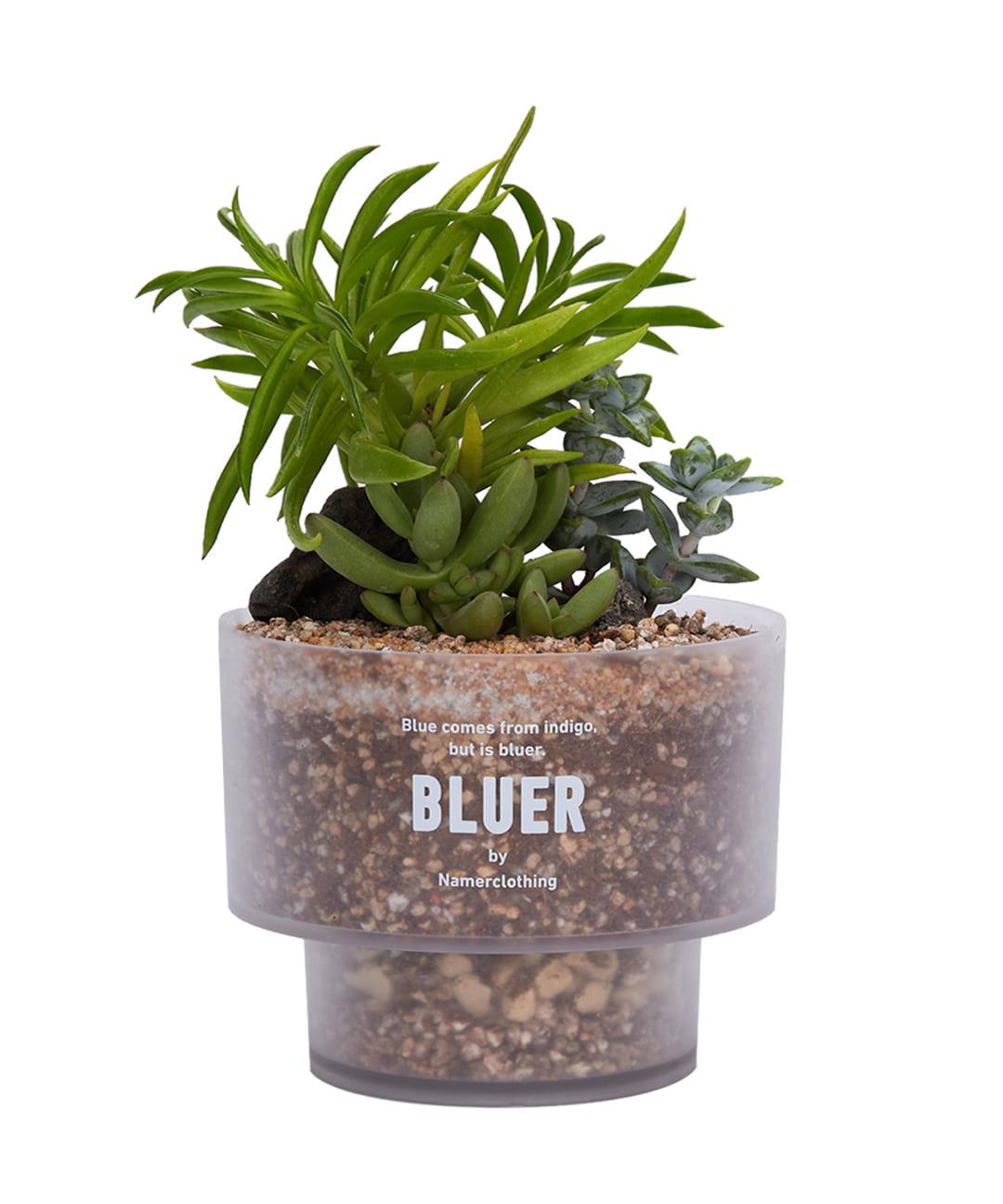 NMR X SUNDAYPLANET47 POT WHITE