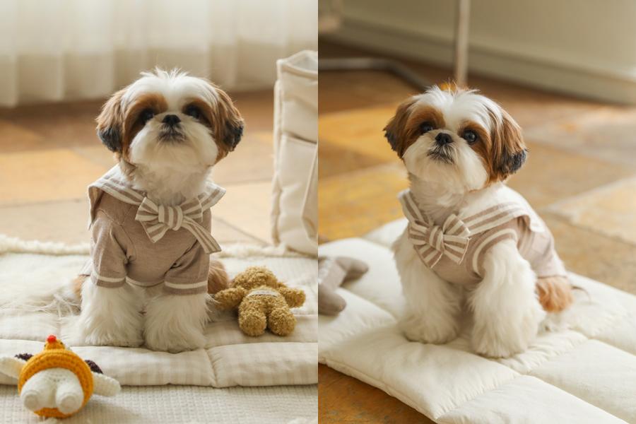 marine sailor knit pullover (mocha)