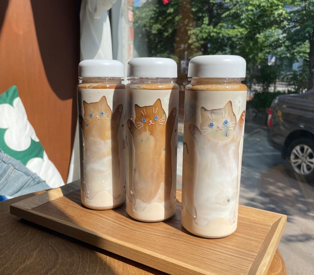 물들이냥 트라이탄 보틀